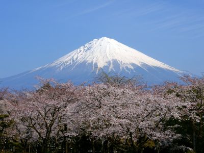 ランキング