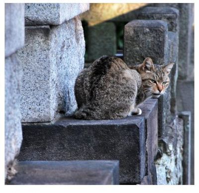 幽霊やお化けを見る人・見ない人の違いについて