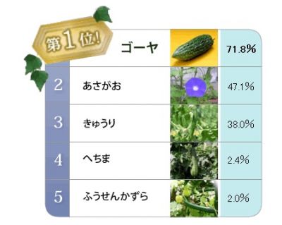 調査結果