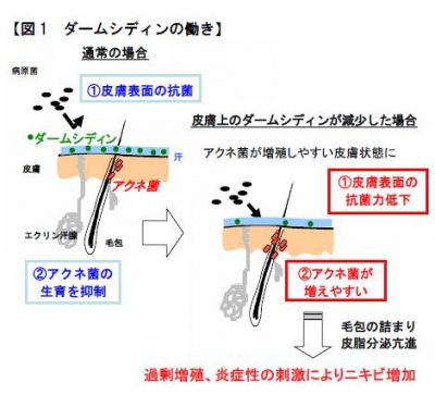 株式会社ファンケル